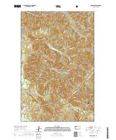 Canyon Lake 2020 topographic map thumbnail