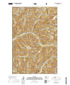 Captain Point 2020 topographic map thumbnail