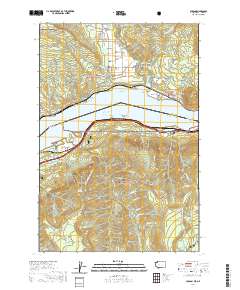 Carson 2020 topographic map thumbnail