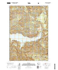 Cedar Flats 2020 topographic map thumbnail