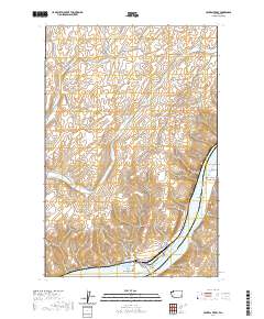 Central Ferry 2020 topographic map thumbnail