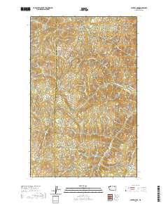 Central Peak 2020 topographic map thumbnail