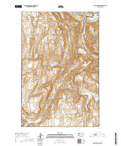 Chief Joseph Dam 2020 topographic map thumbnail