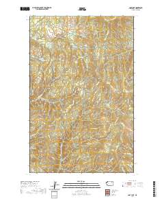 Cody Lake 2020 topographic map thumbnail
