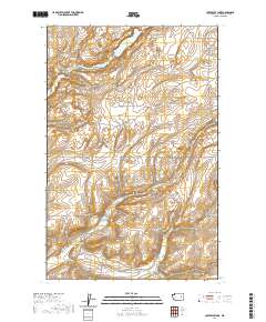 Coffeepot Lake 2020 topographic map thumbnail