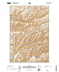 Connell SE 2020 topographic map thumbnail