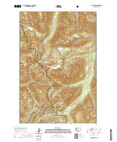 Cougar Lake 2020 topographic map thumbnail