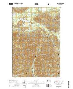 Cowlitz Falls 2020 topographic map thumbnail