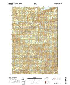 Coyote Mountain 2020 topographic map thumbnail