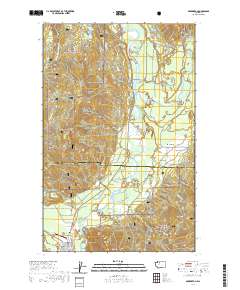 Darrington 2020 topographic map thumbnail