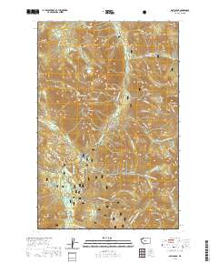 Davis Peak 2020 topographic map thumbnail