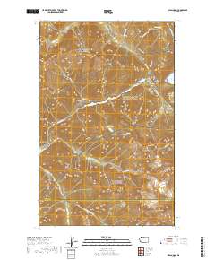 Diablo Dam 2020 topographic map thumbnail