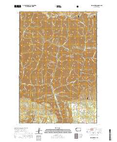 Diamond Peak 2020 topographic map thumbnail