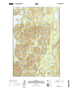 Dickey Lake 2020 topographic map thumbnail