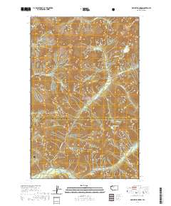 Downey Mountain 2020 topographic map thumbnail