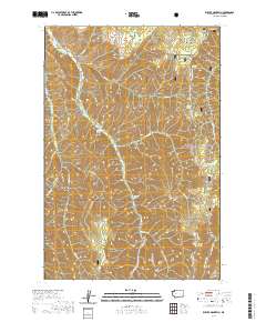 Eckler Mountain 2020 topographic map thumbnail