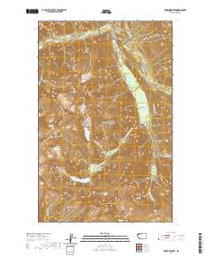 Forbidden Peak 2020 topographic map thumbnail