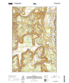 Forest Center 2020 topographic map thumbnail