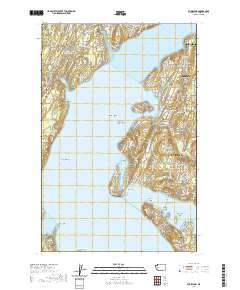Fox Island 2020 topographic map thumbnail