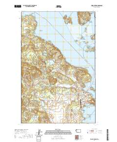 Friday Harbor 2020 topographic map thumbnail