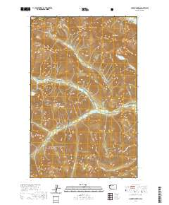 Goode Mountain 2020 topographic map thumbnail