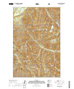 Illabot Peaks 2020 topographic map thumbnail