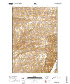 Jameson Lake SE 2020 topographic map thumbnail