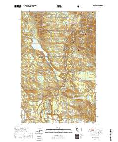 Lake Chaplain 2020 topographic map thumbnail