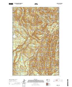 Lake Joy 2020 topographic map thumbnail