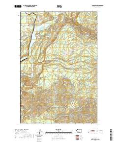 Lake Kapowsin 2020 topographic map thumbnail