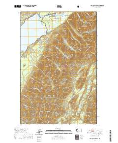 Lake Quinault East 2020 topographic map thumbnail