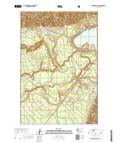 Lake Quinault West 2020 topographic map thumbnail