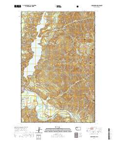 Lake Shannon 2020 topographic map thumbnail