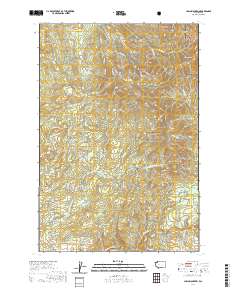 Larch Mountain 2020 topographic map thumbnail