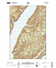 Lilliwaup 2020 topographic map thumbnail