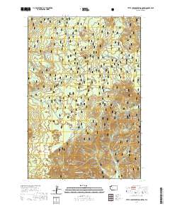 Little Huckleberry Mountain 2020 topographic map thumbnail