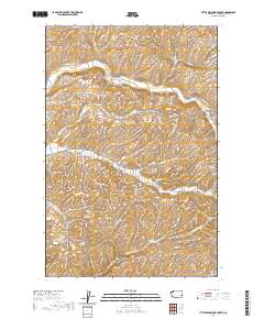 Little Penawawa Creek 2020 topographic map thumbnail
