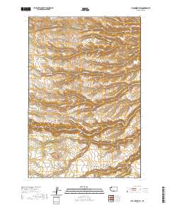 Logy Creek Falls 2020 topographic map thumbnail