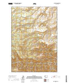 Logy Creek SW 2020 topographic map thumbnail