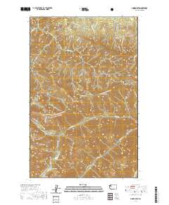 Maiden Peak 2020 topographic map thumbnail