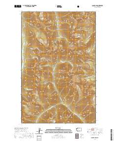 Mount Lago 2020 topographic map thumbnail