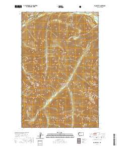 Mount Lyall 2020 topographic map thumbnail