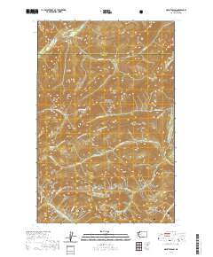 Mount Olson 2020 topographic map thumbnail