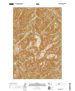 Mount Olympus 2020 topographic map thumbnail