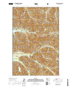 Mount Phelps 2020 topographic map thumbnail