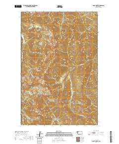 Mount Queets 2020 topographic map thumbnail