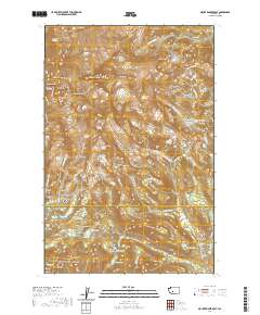 Mount Rainier East 2020 topographic map thumbnail