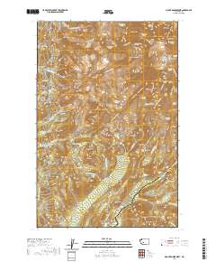 Mount Rainier West 2020 topographic map thumbnail