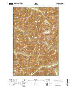 Mount Redoubt 2020 topographic map thumbnail
