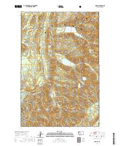 Mount Si 2020 topographic map thumbnail